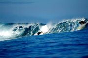 Surf1 (Medium).jpg